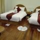 g5/deluxe twin bed 6.jpg